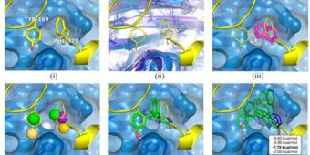 Molecular modeling for profilin inhibitor